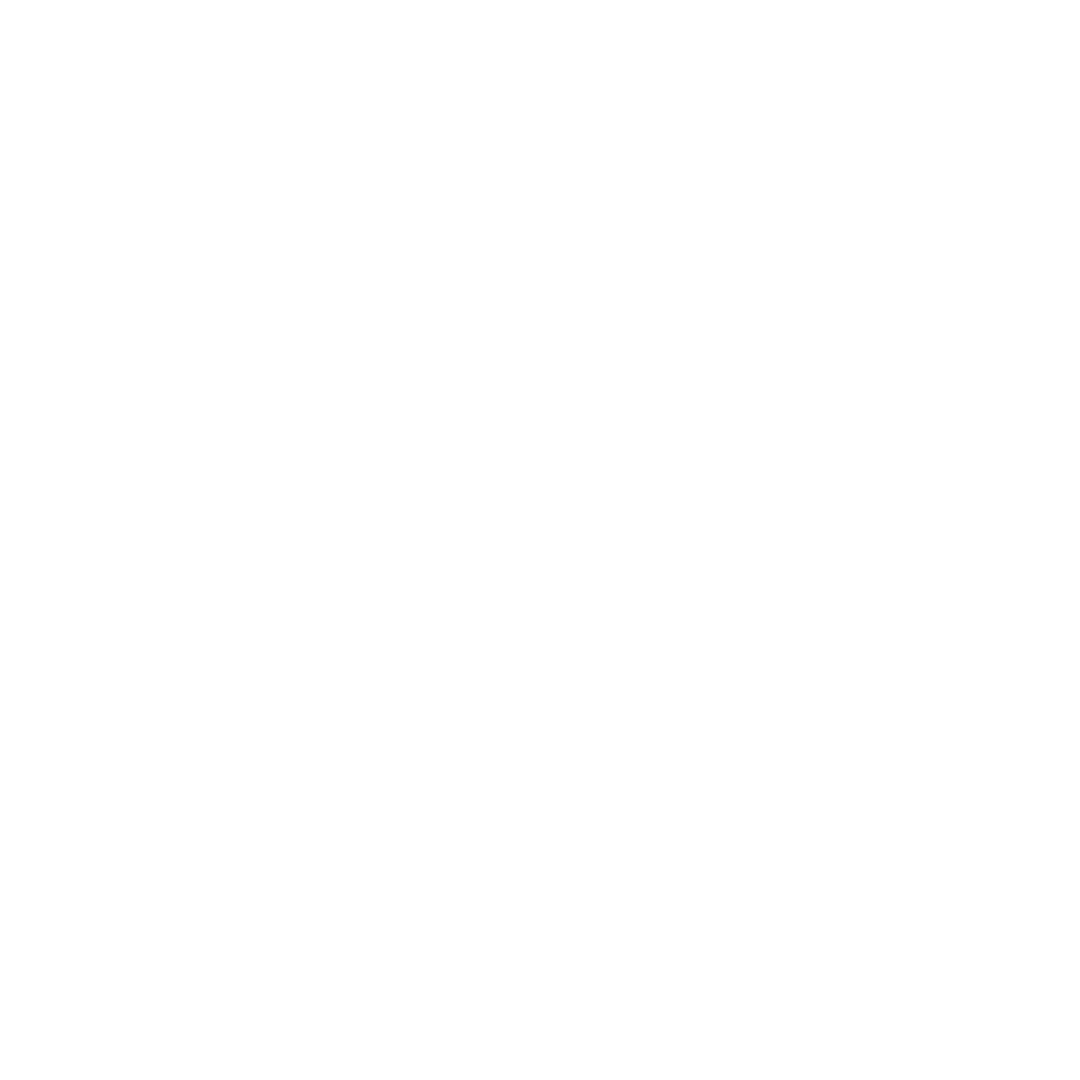 Globe Icon
