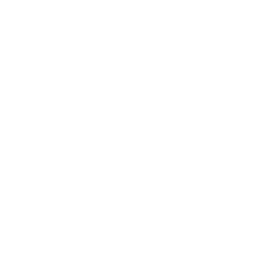 Languages Icon