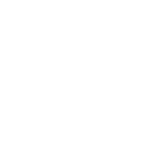 Civil Aviation Authority